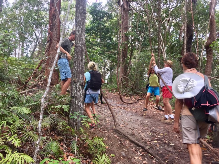 Noosa nationalpark 1