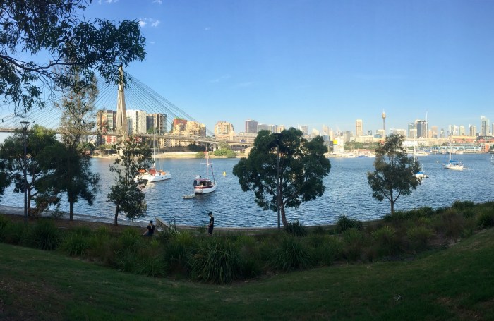 Blackwattle Bay Sydney 1