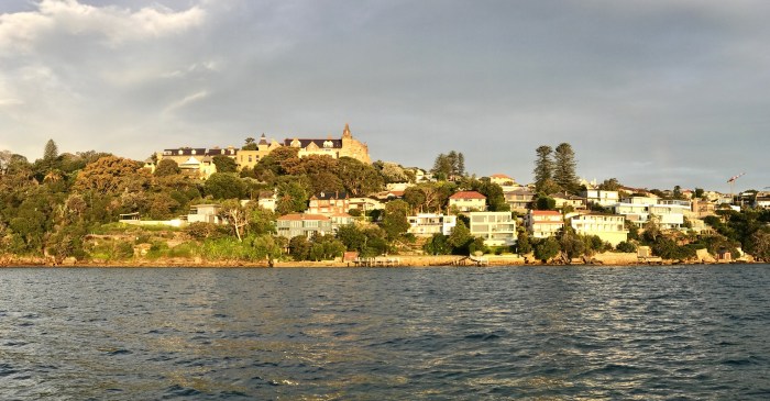 Rose bay 3